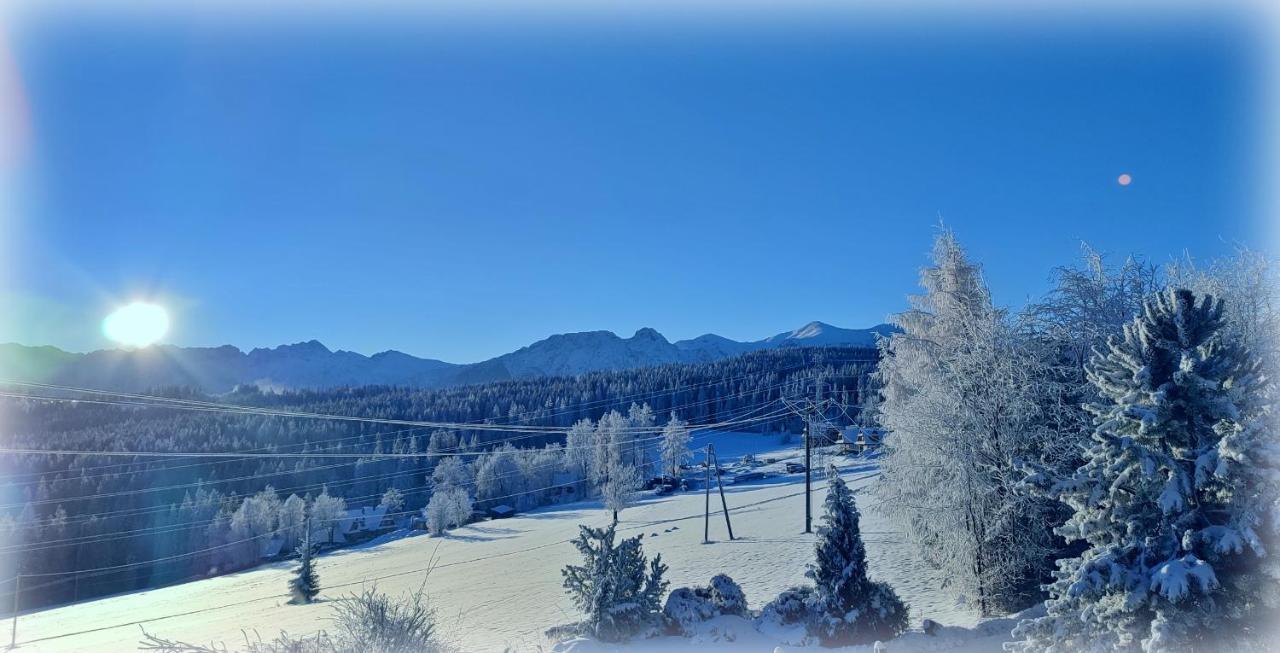 Willa Juna Tatry Nowe Bystre Extérieur photo