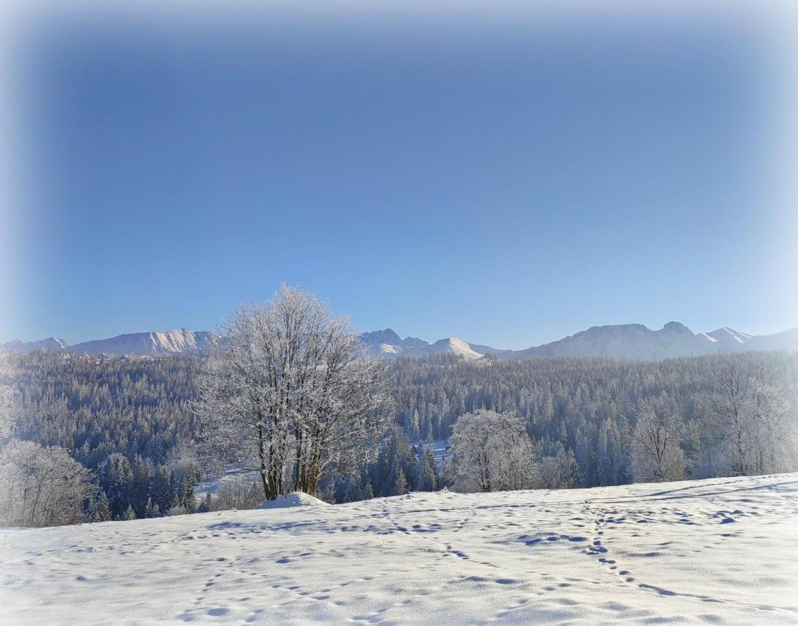 Willa Juna Tatry Nowe Bystre Extérieur photo